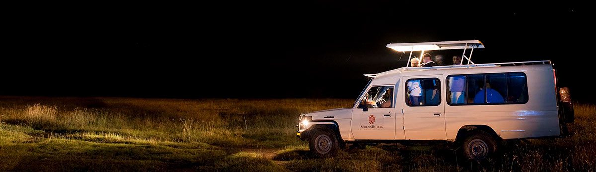 Night Game Drive Experience