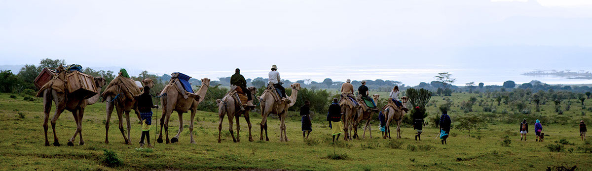 Bobong Camels