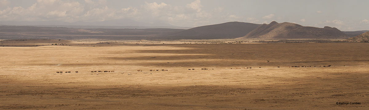 Dry view from verandah