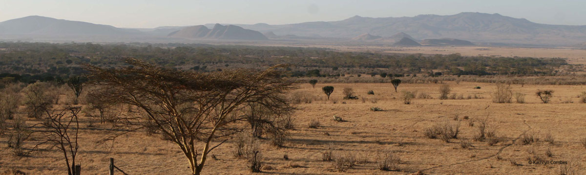 Dry south view