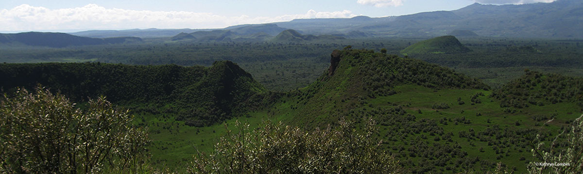 Nose top south view