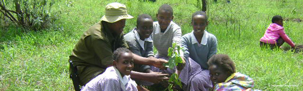 Tree planting