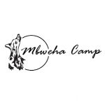 Mbweha Camp